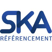 Agence SKA référencement