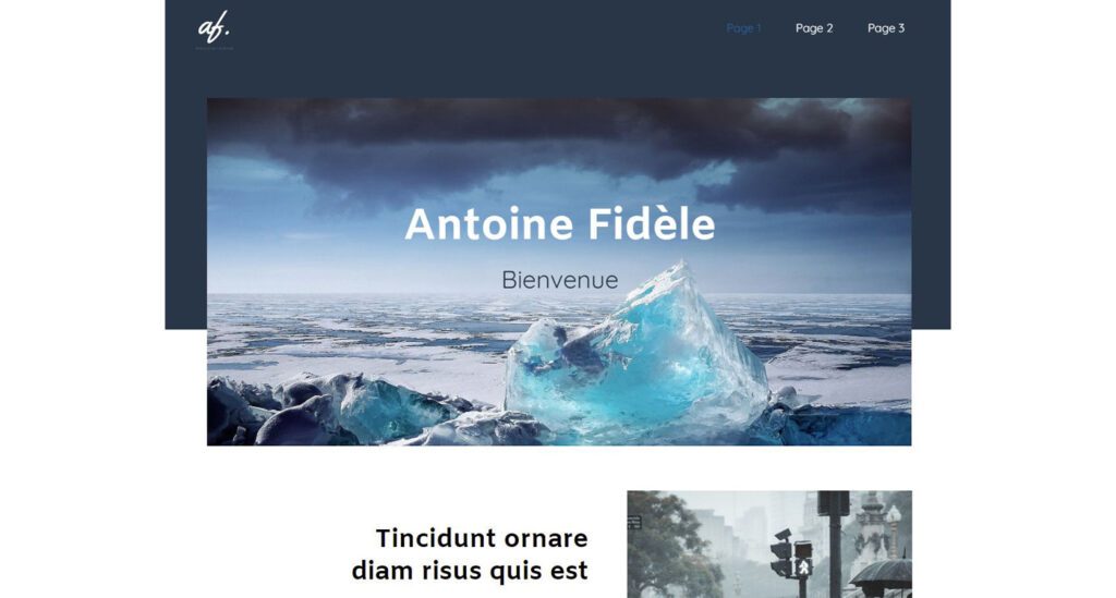 Antoine Fidele profil exemple site SiteW