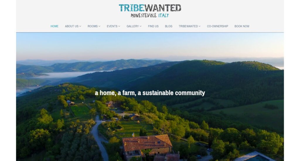 TribeWanted exemple site Strikingly
