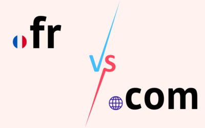 .com ou .fr : Quelles différences pour votre nom de domaine ?
