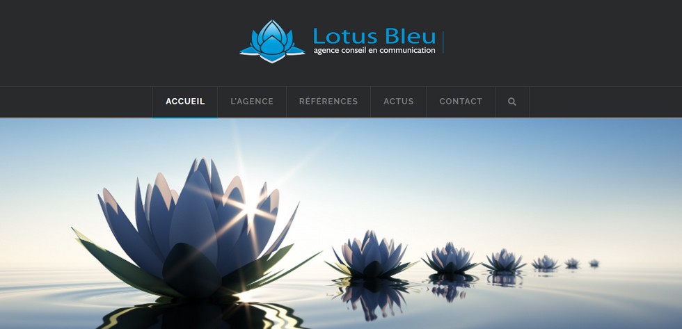 lotus bleu