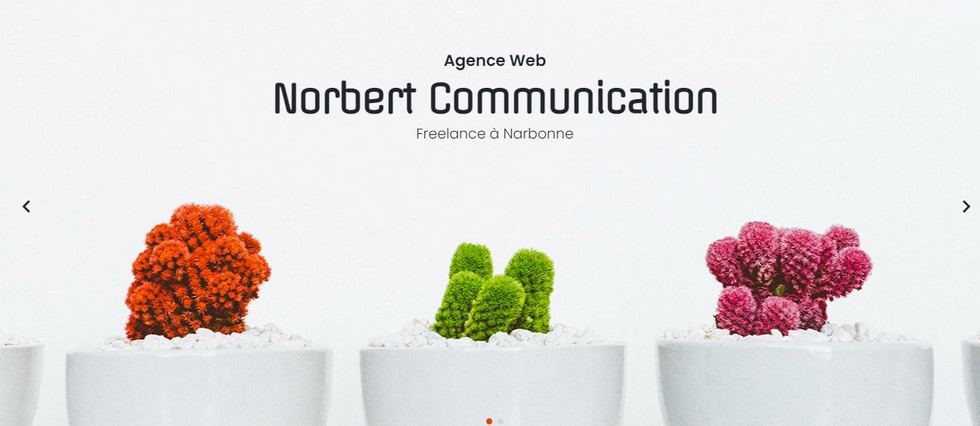 norbert communication