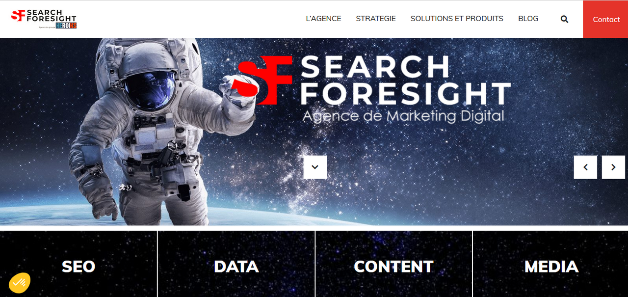 search foresight