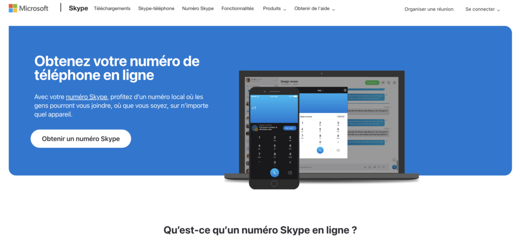 Skype VoIP