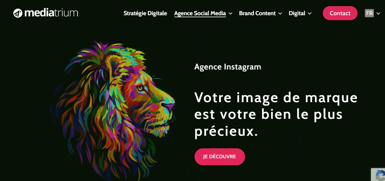 Agence Instagram Mediatrium