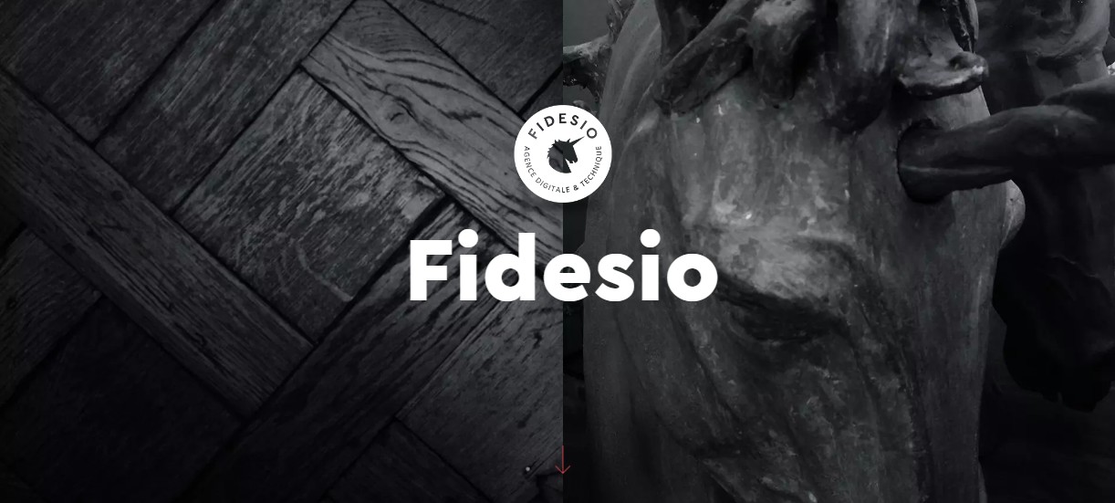 Agence Webdesign Fidesio
