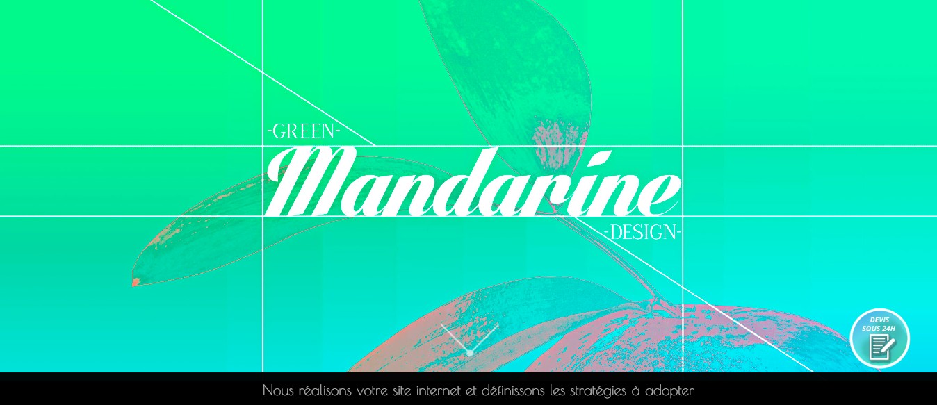Agence Webdesign - Green Mandarine Design