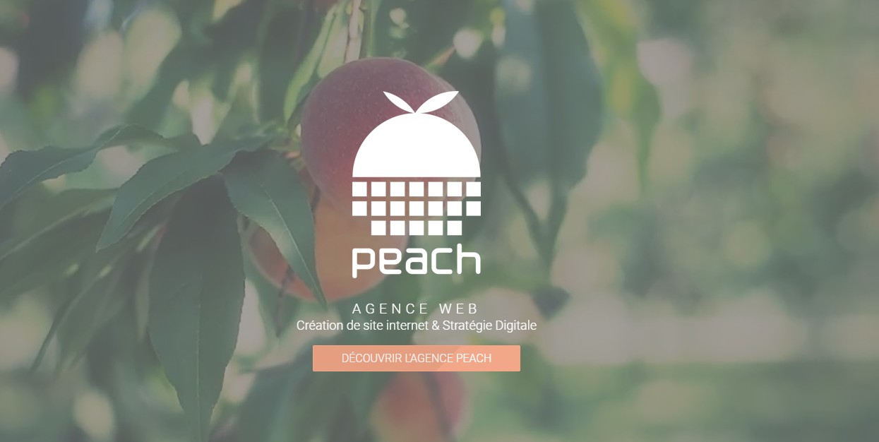 agence web oise Peach