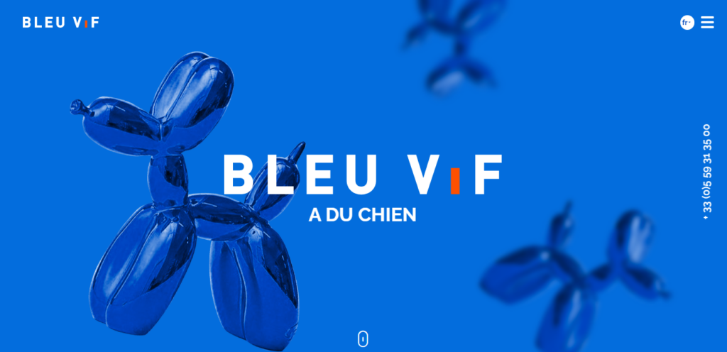 Bleu Vif - Agences de communication Bayonne