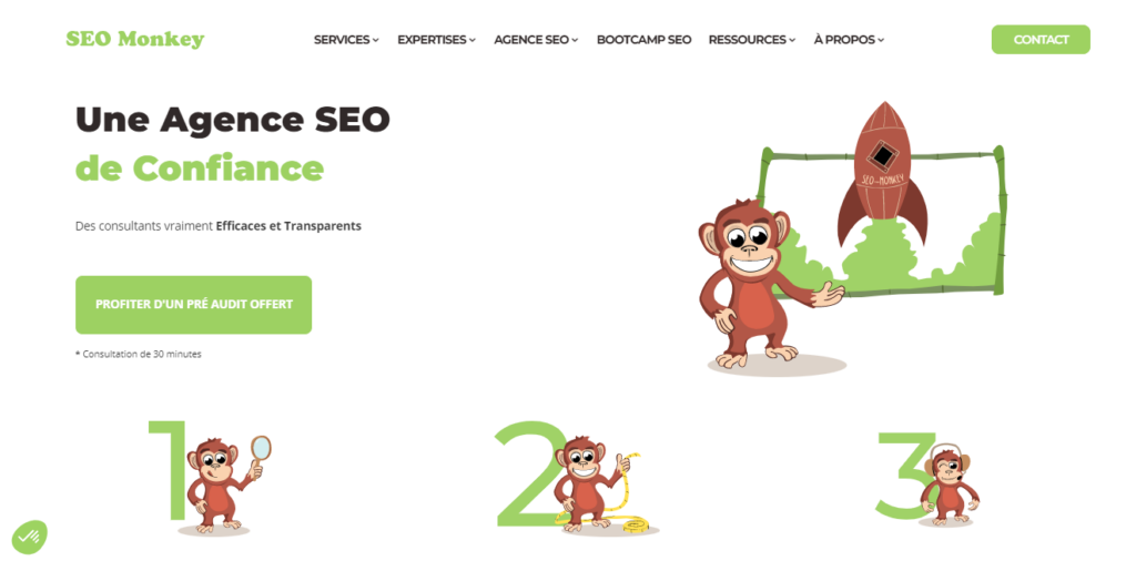 Seo Monkey - Agence SEO Toulouse