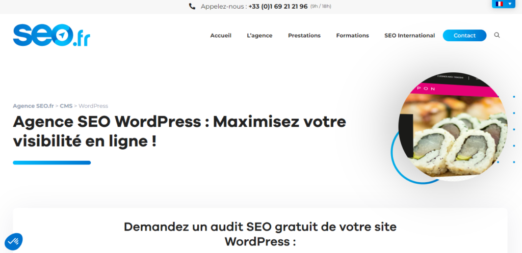 SEO.fr - Agence seo wordpress