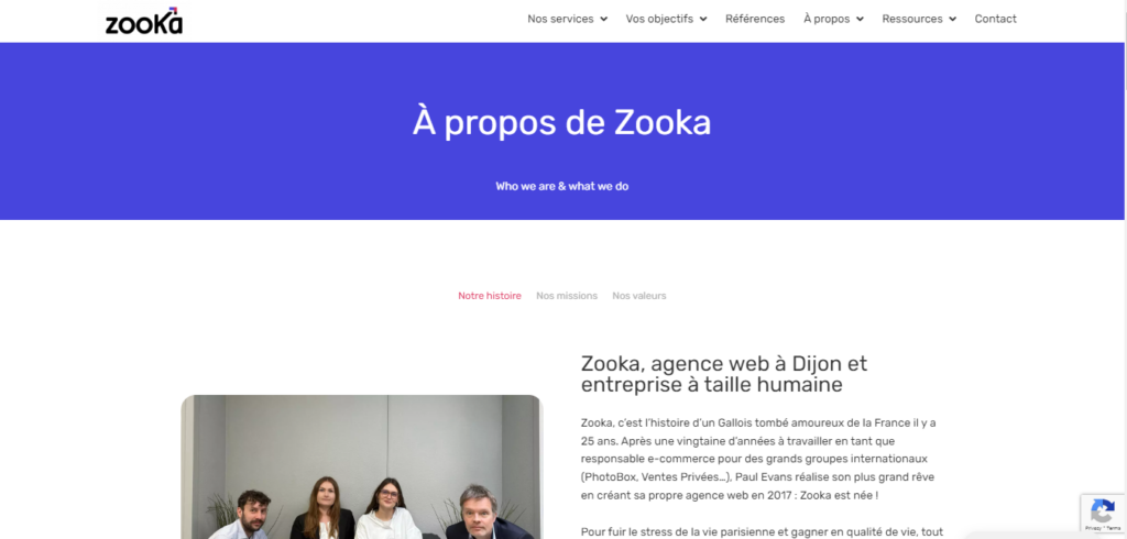 Zooka - Agence web Dijon