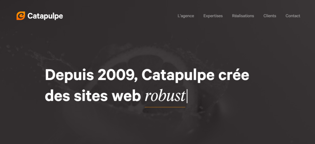 Catapulpe - Création site internet Dijon