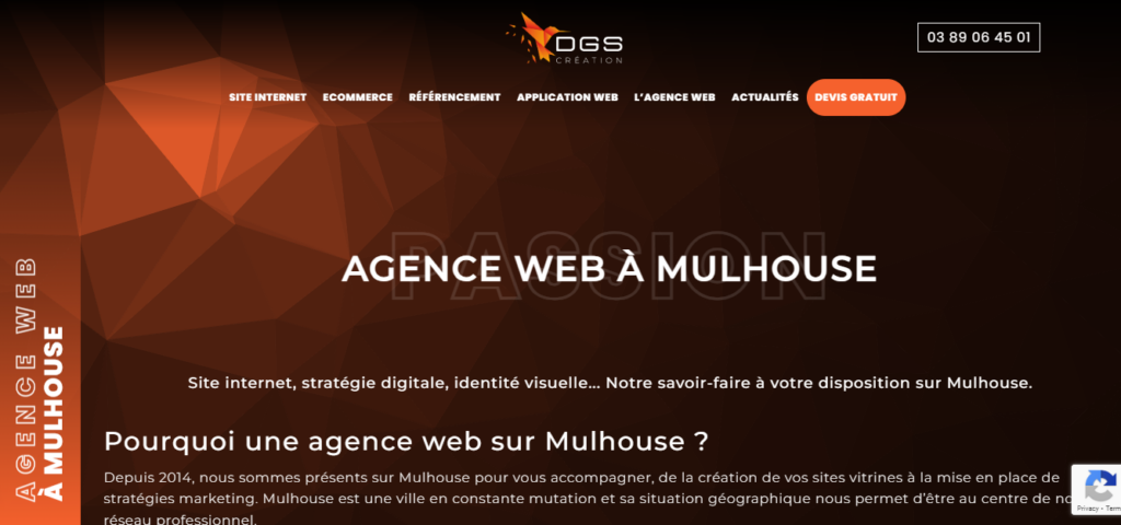 DGS création - Agences web Mulhouse