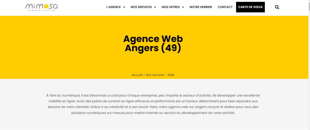 Mimosa - Agences web Angers