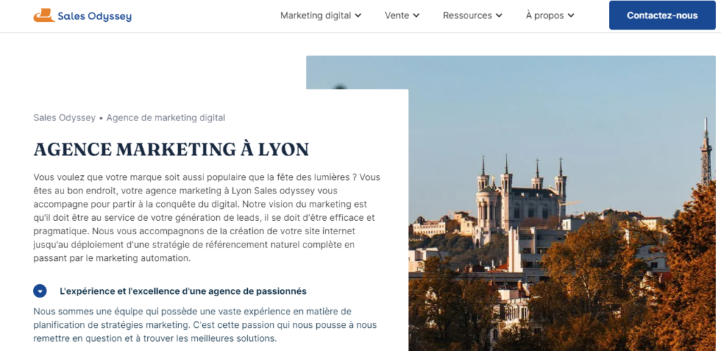 Sales Odyssey - Agence marketing digital Lyon