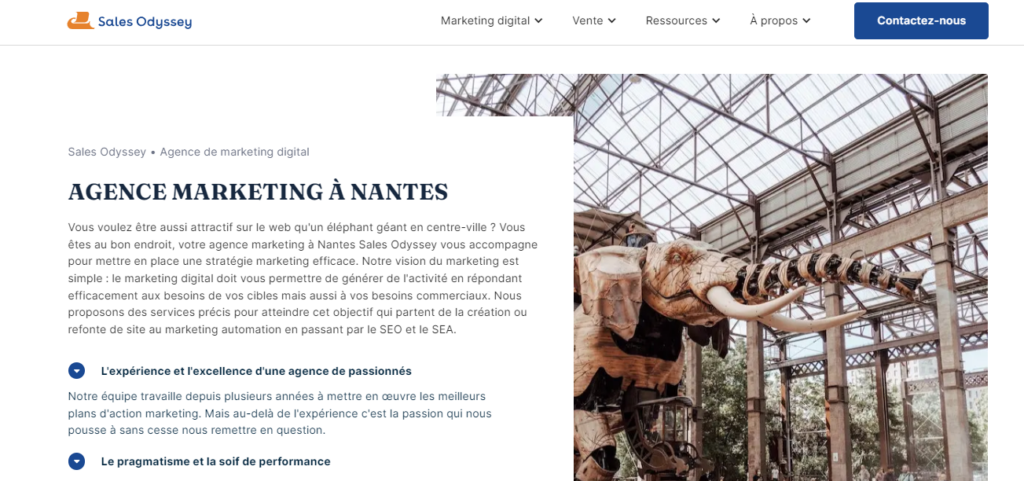 Sales Odyssey - Agence marketing digital Nantes
