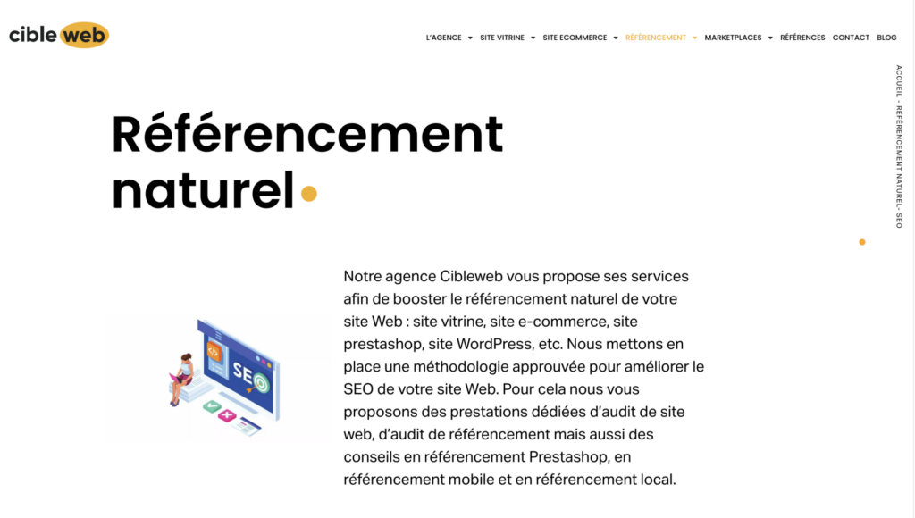 Cible web SEO