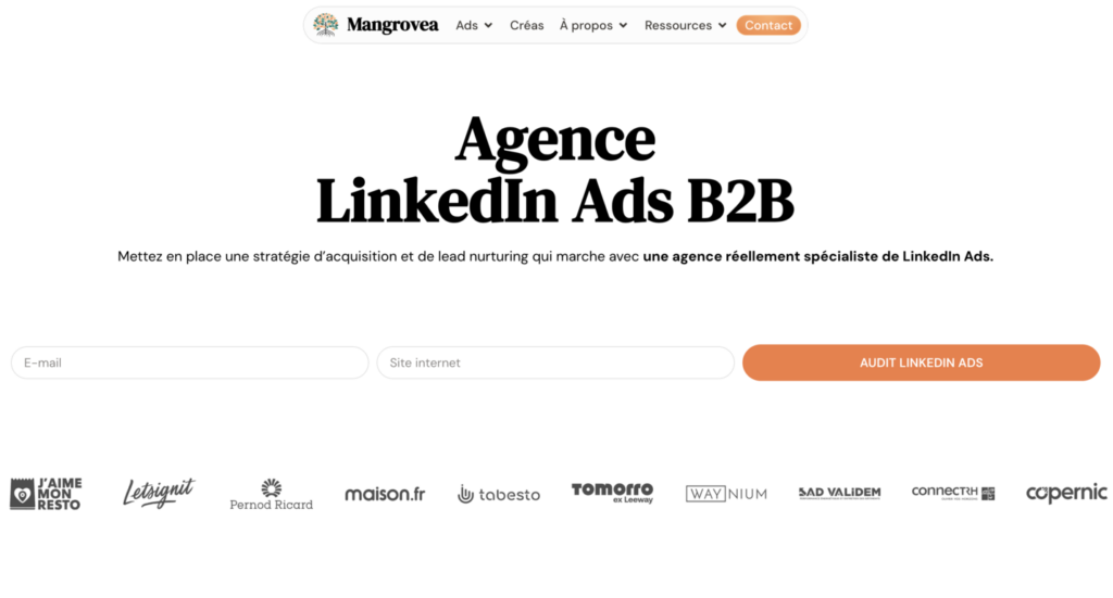 Mangrovea Linkedin Ads