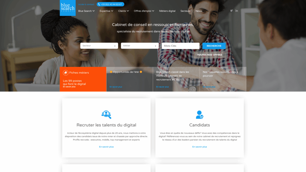 Blue Search Conseil