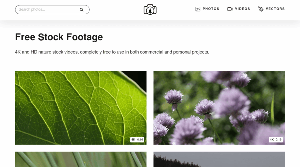 Banque vidéos Free Nature Stock