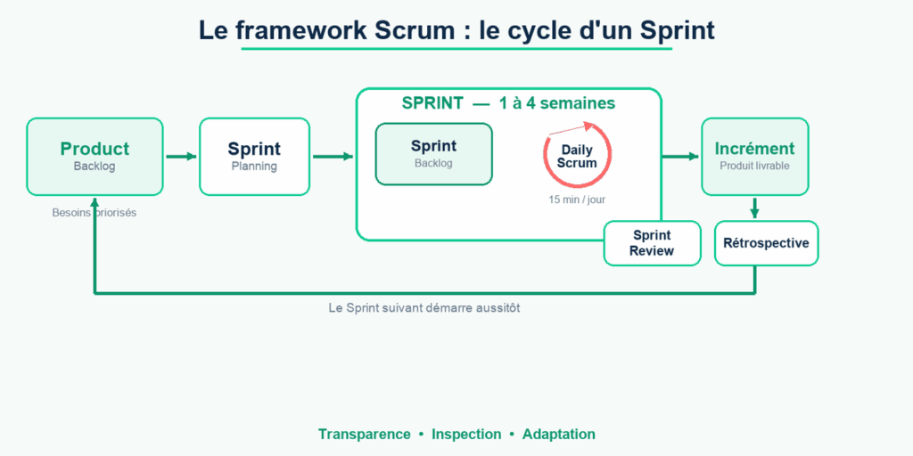 Schéma du cycle Scrum : du Product Backlog à l'incrément, avec le Daily Scrum