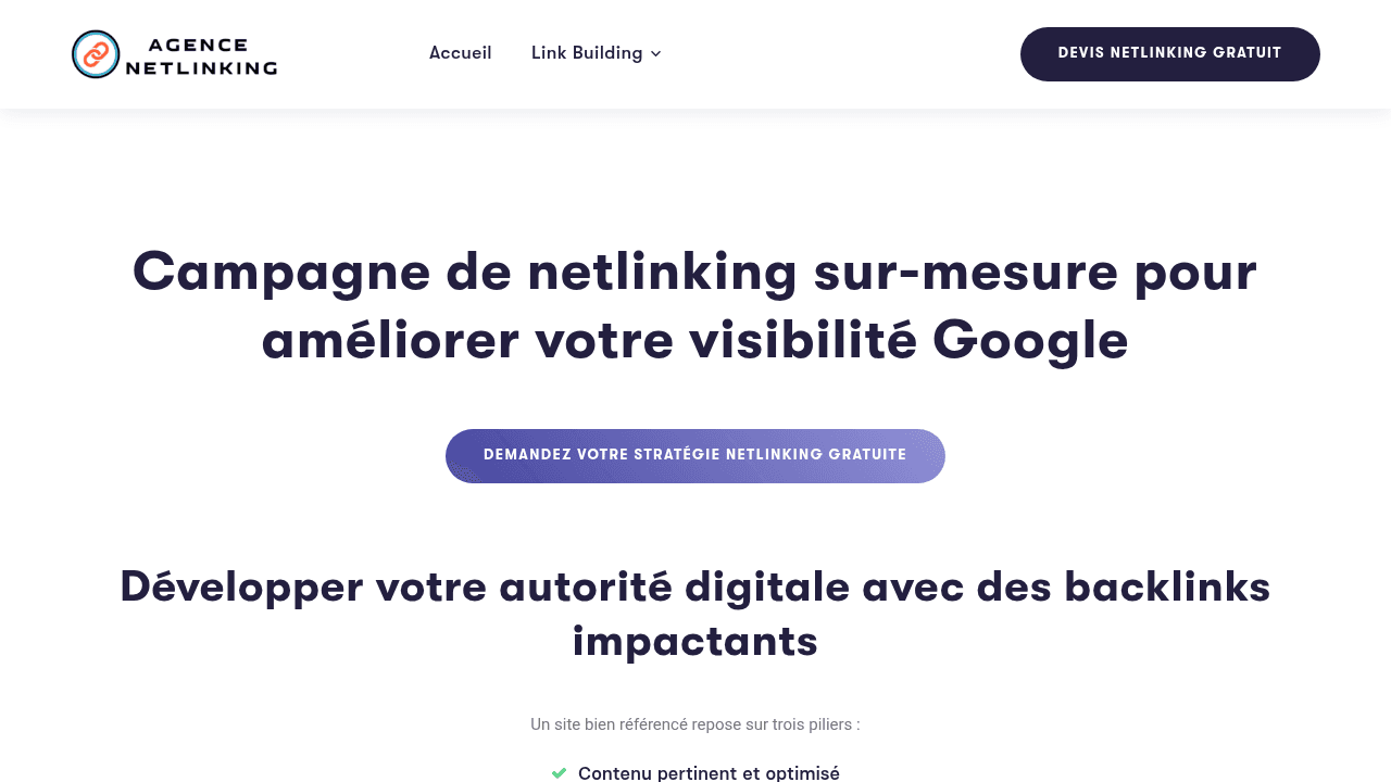 Agence Netlinking - Agence de netlinking