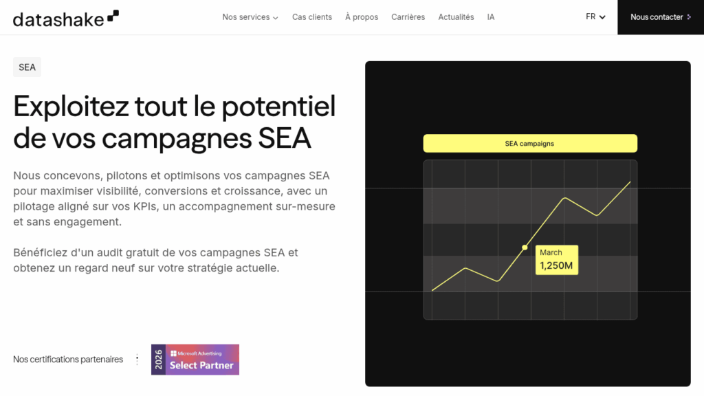 datashake-screenshot