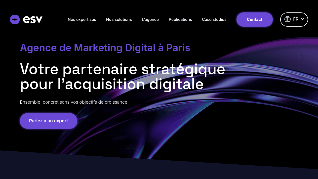 ESV Digital - Agence paid media