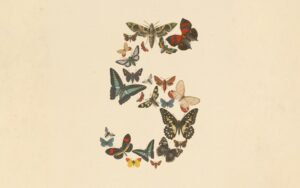 Illustration officielle Anthropic pour Claude Fable 5 : des papillons et insectes naturalistes formant le chiffre 5 sur fond crème