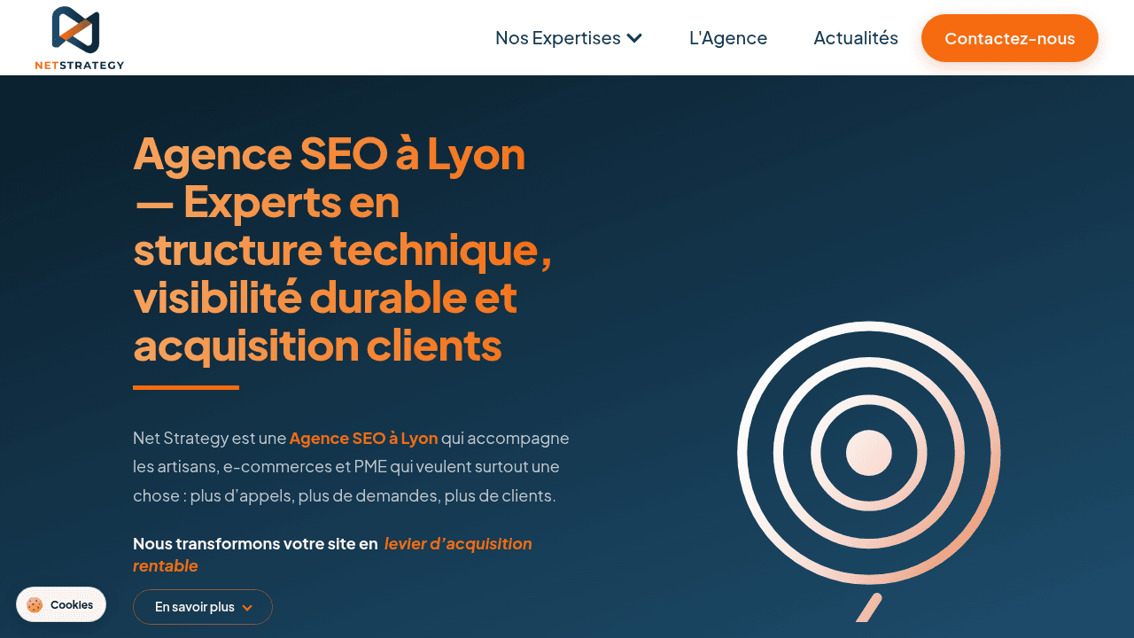 Net Strategy - Agence SEO Lyon