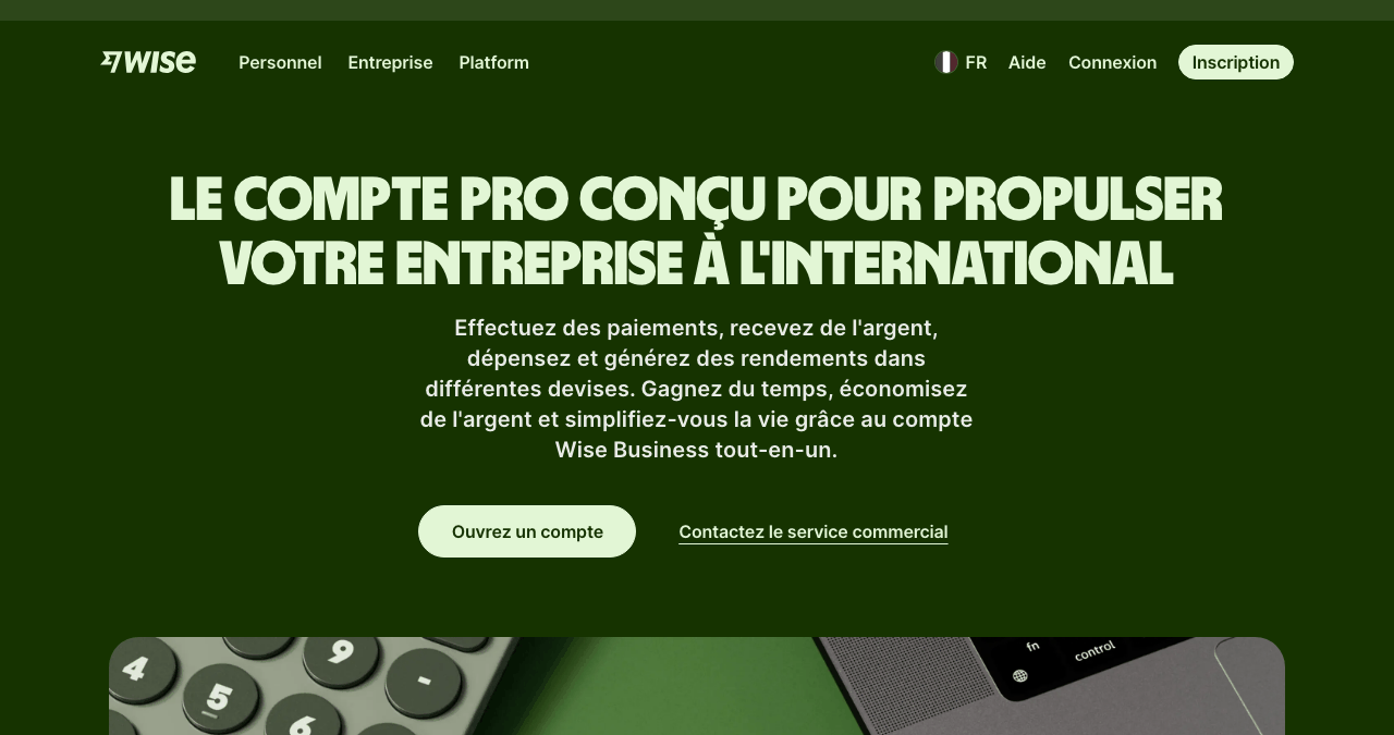 Page d'accueil de Wise Business