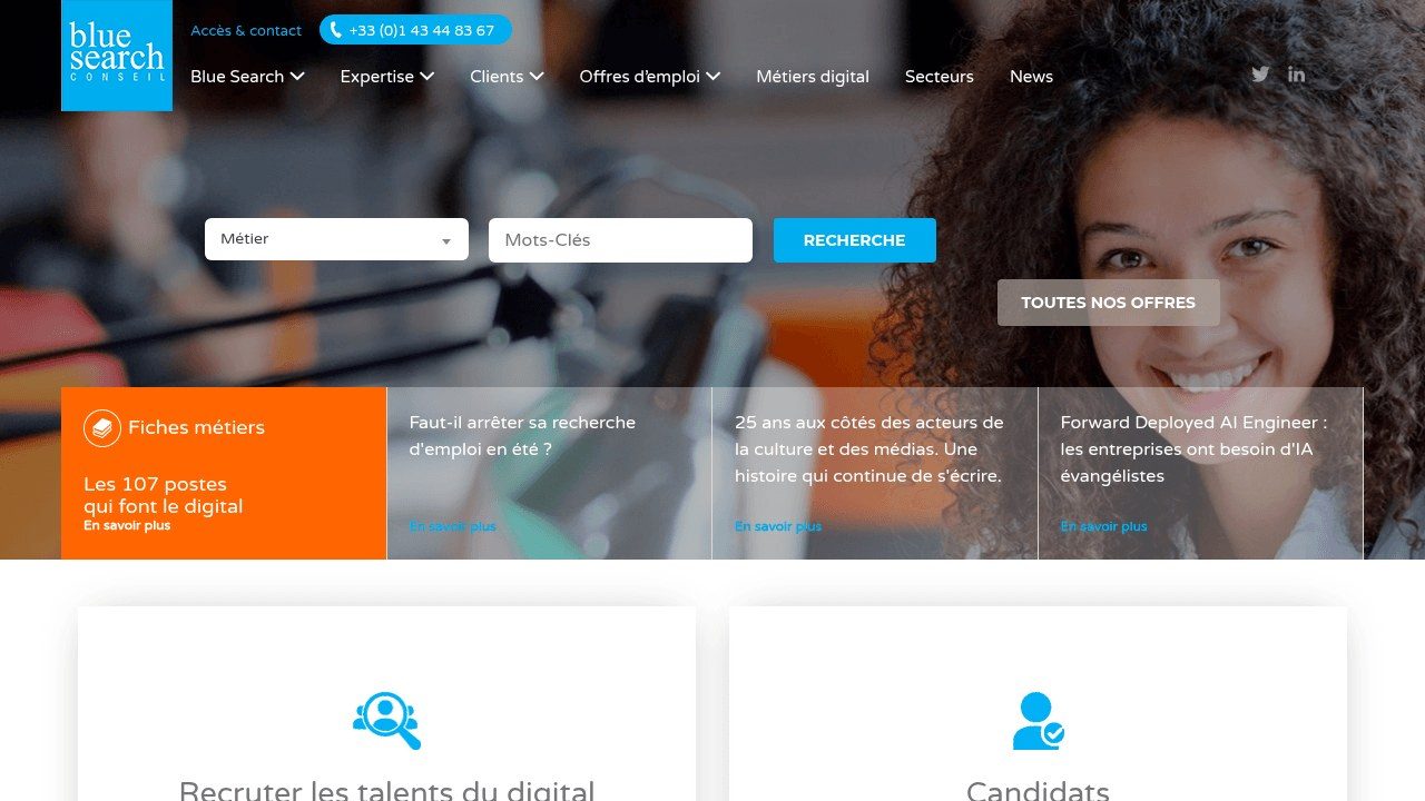 Blue Search Conseil
