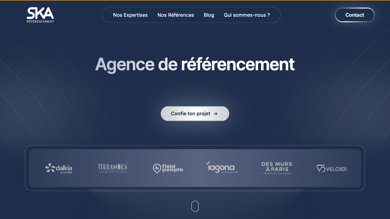 Agence SKA - Agence SEO