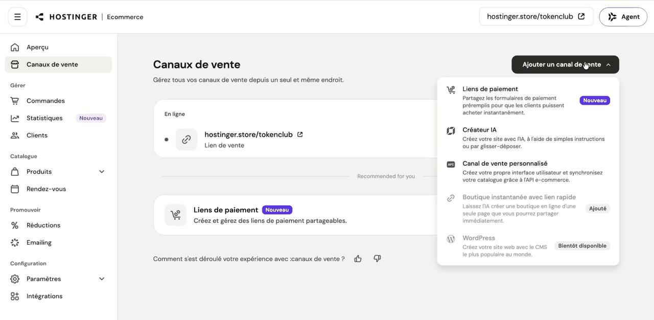 Canaux de vente dans Hostinger Ecommerce