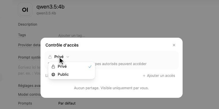 Contrôle d'accès d'un modèle dans Open WebUI pour passer de Privé à Public