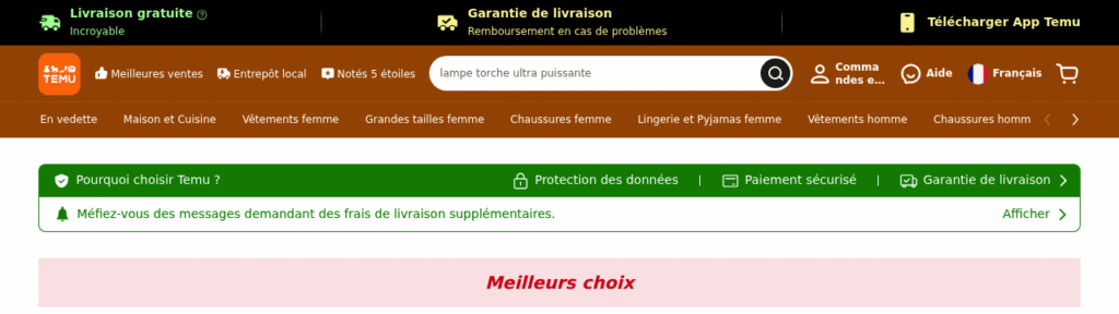 Capture d'écran de la page d'accueil de Temu